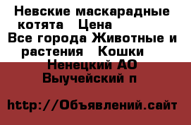 Невские маскарадные котята › Цена ­ 15 000 - Все города Животные и растения » Кошки   . Ненецкий АО,Выучейский п.